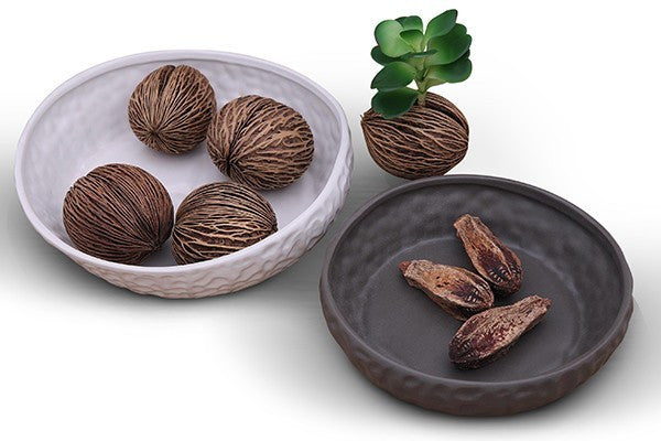 RÌãPOSJO FRUIT PLATE