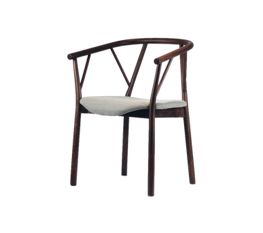 ÅNTTO ARM CHAIR